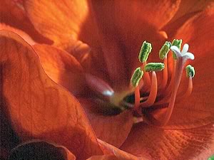 &copy; by Hilmar Boehle