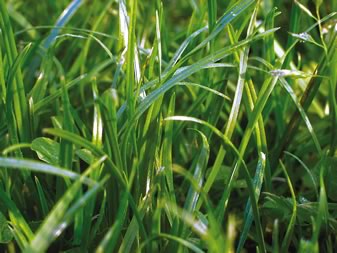 &copy; by Hilmar Boehle